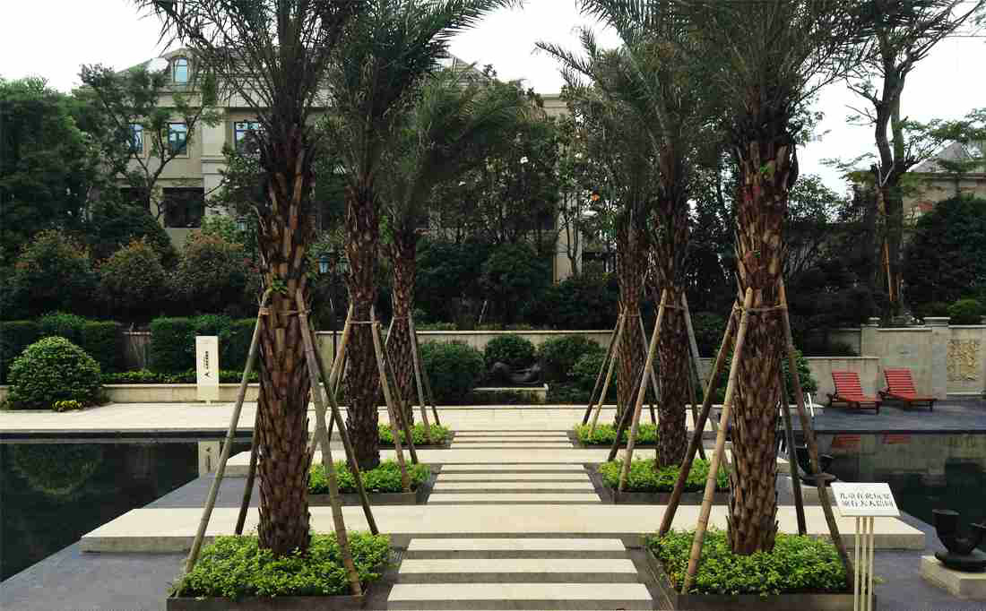 植物配置，SU效果图，卢浮原著景观设计，WAQI景观设计，住宅小区，景观设计,客栈设计,景观规划,水景，生态水池，旧房改造,住宅景观,住房景观,酒店设计,园林绿化,景观,园林,生态,精品