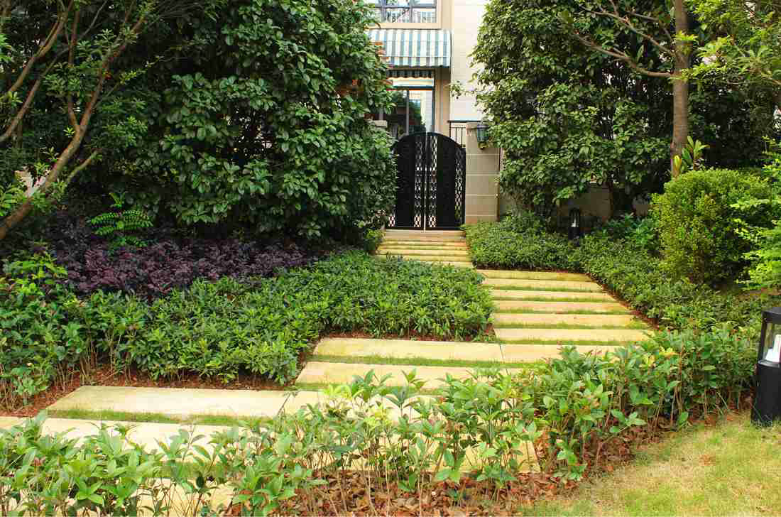 植物配置，SU效果图，卢浮原著景观设计，WAQI景观设计，住宅小区，景观设计,客栈设计,景观规划,水景，生态水池，旧房改造,住宅景观,住房景观,酒店设计,园林绿化,景观,园林,生态,精品