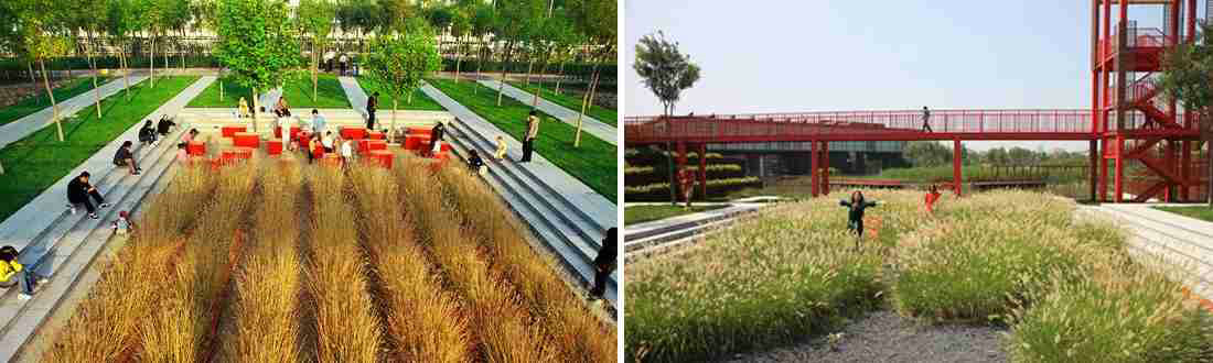 天津桥园，WAQI景观，景观设计,客栈设计,景观规划,旧房改造,住宅景观,住房景观,酒店设计,园林绿化,景观,园林,生态,精品