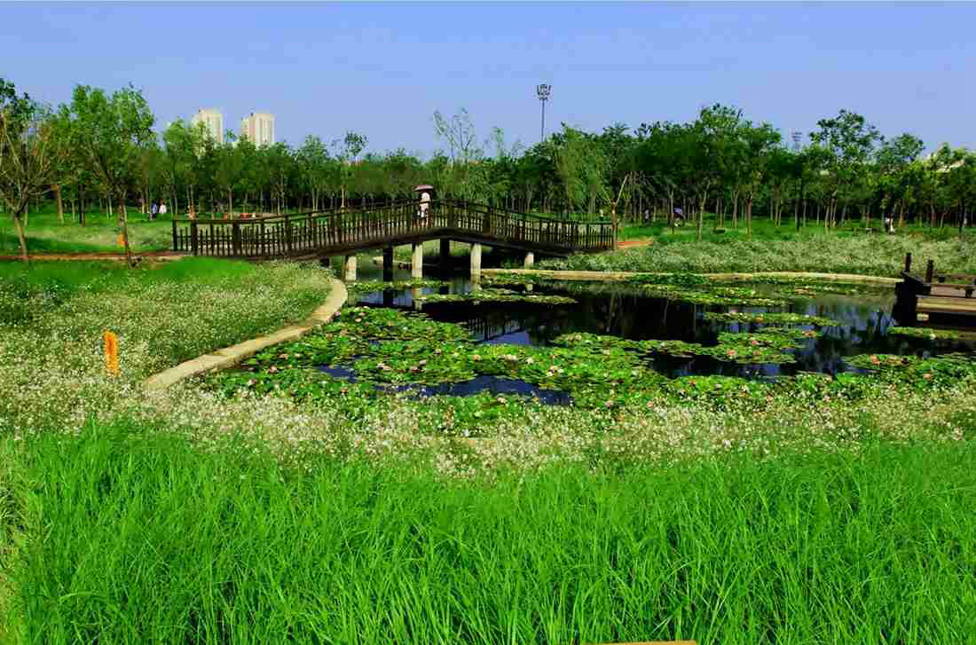 天津桥园，WAQI景观，景观设计,客栈设计,景观规划,旧房改造,住宅景观,住房景观,酒店设计,园林绿化,景观,园林,生态,精品