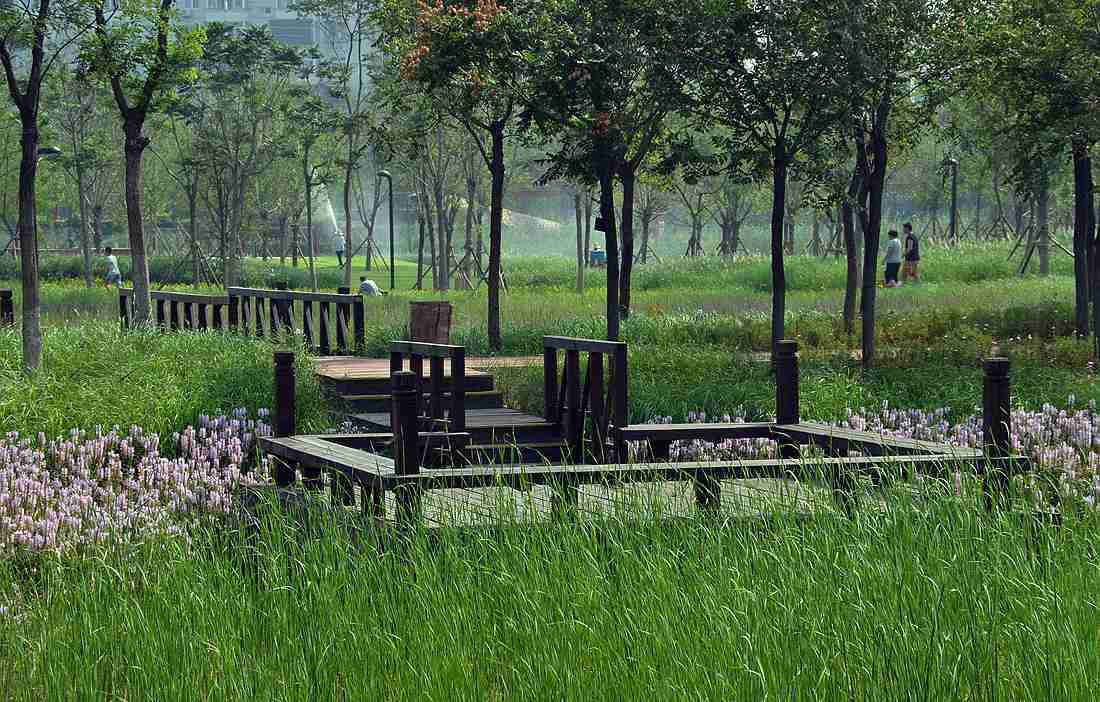 天津桥园，WAQI景观，景观设计,客栈设计,景观规划,旧房改造,住宅景观,住房景观,酒店设计,园林绿化,景观,园林,生态,精品