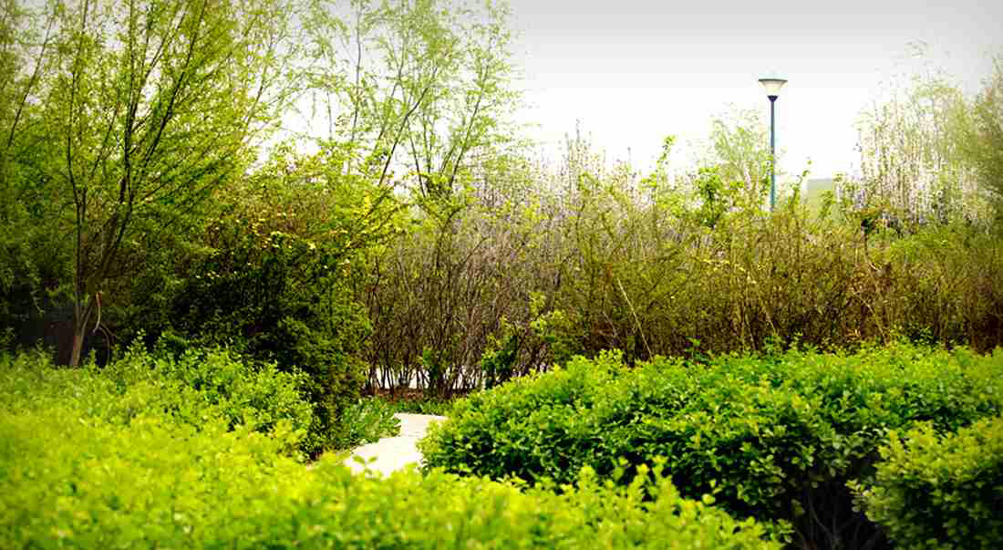 天津桥园，WAQI景观，景观设计,客栈设计,景观规划,旧房改造,住宅景观,住房景观,酒店设计,园林绿化,景观,园林,生态,精品