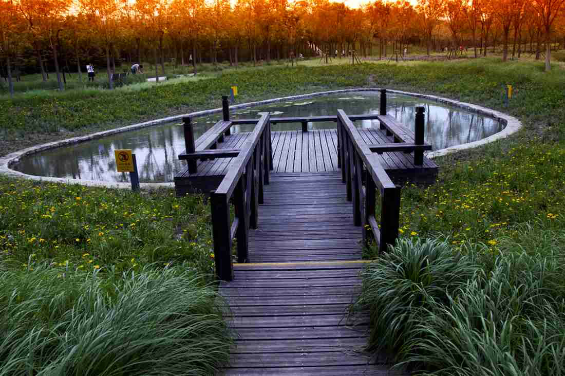 天津桥园，WAQI景观，景观设计,客栈设计,景观规划,旧房改造,住宅景观,住房景观,酒店设计,园林绿化,景观,园林,生态,精品