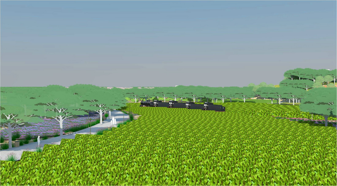 景观设计，生态园，葡萄，绿色，葡萄生态园，怀来葡萄生态园，桑干酒庄