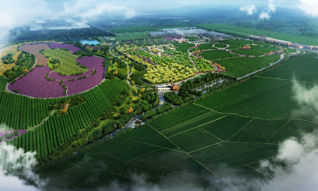 景观设计，生态园，葡萄，绿色，葡萄生态园，怀来葡萄生态园，桑干酒庄