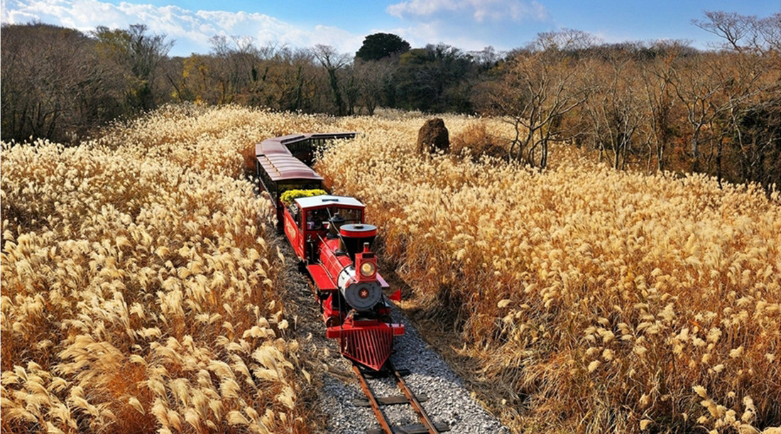 景观设计，生态园，葡萄，绿色，葡萄生态园，怀来葡萄生态园，桑干酒庄