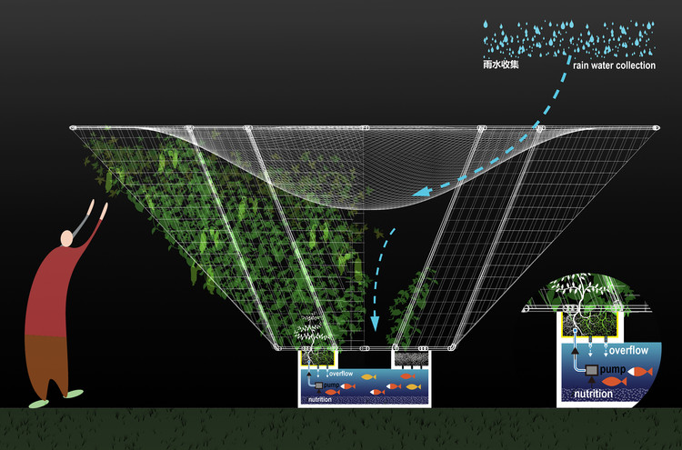 菜共生与雨水收集系统