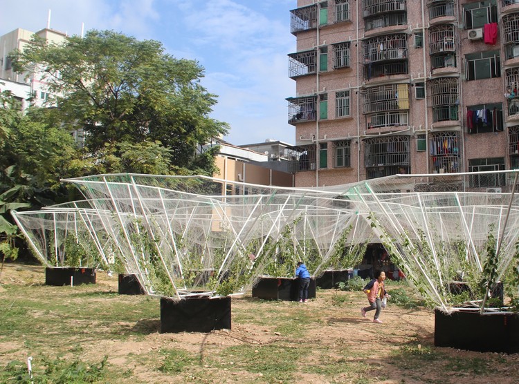 肥沃的生产空间和独特的消费空间. © 王江