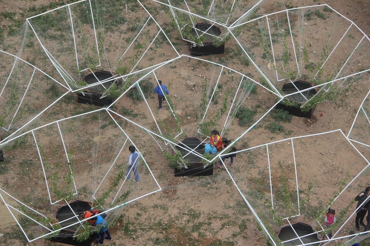 儿童乐园. © 杨磊