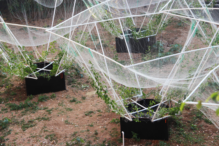 黑匣子的最小干预. © 杨磊