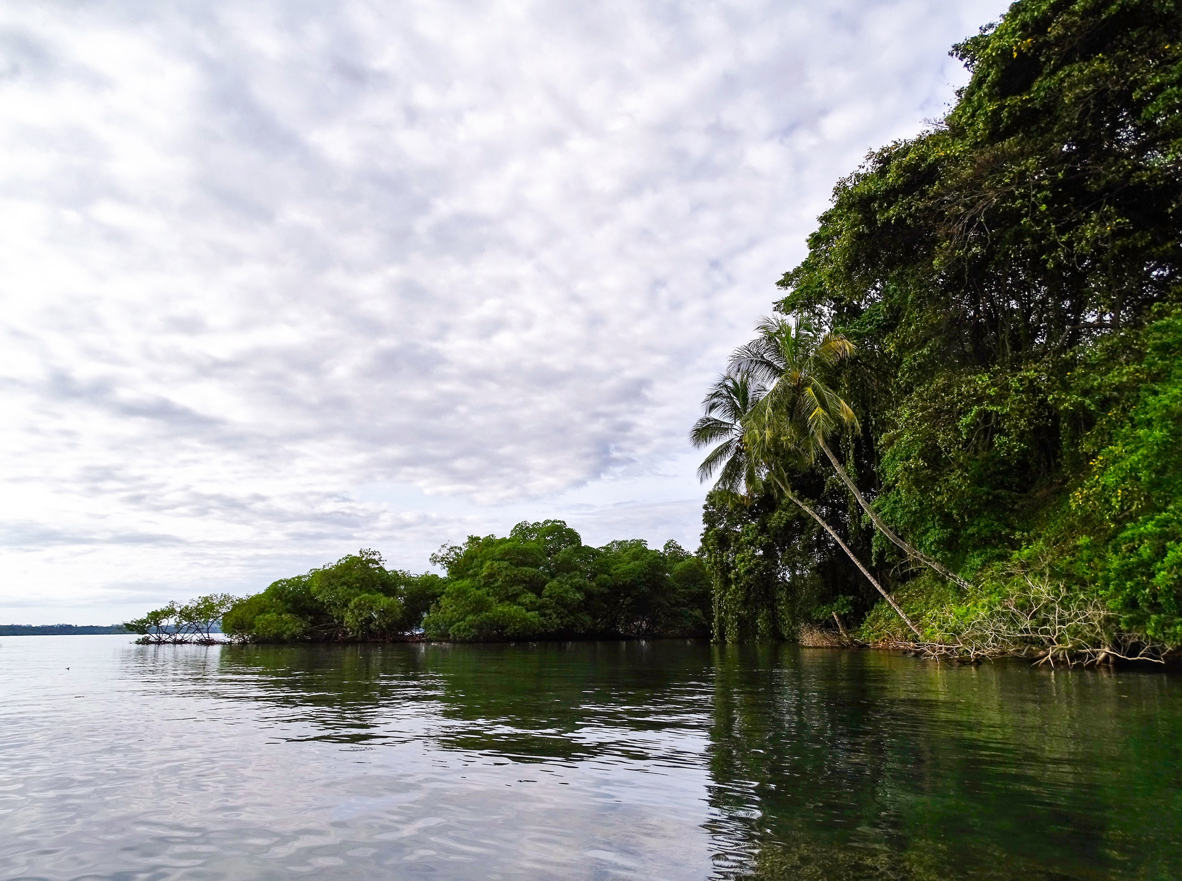 巴卡建筑师事务所BÍKU树屋度假村