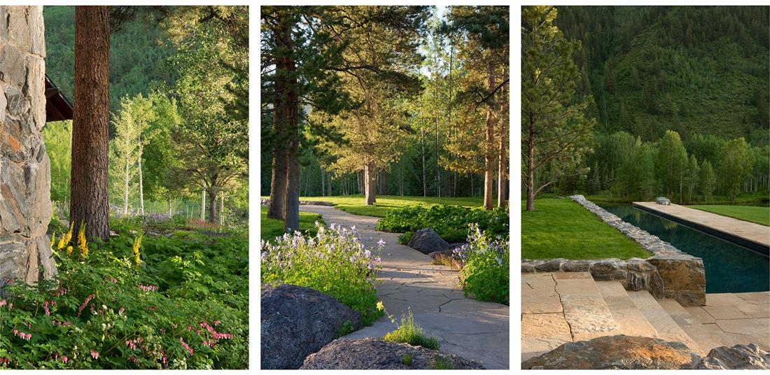 2016 asla  MontaneLandscape_7