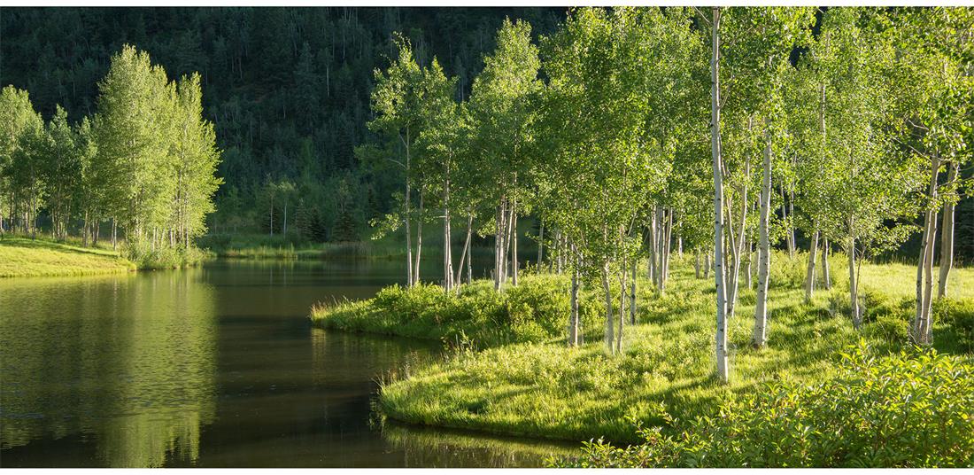 2016 asla  MontaneLandscape_9